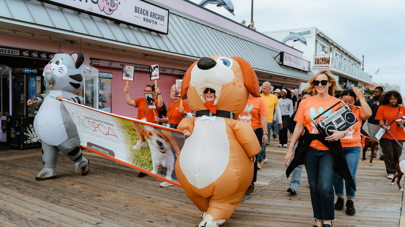 Bark on the Boards event in Rehoboth Beach raises $185K for animal care